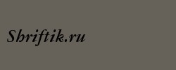 American Garamond Bold Italic BT 
